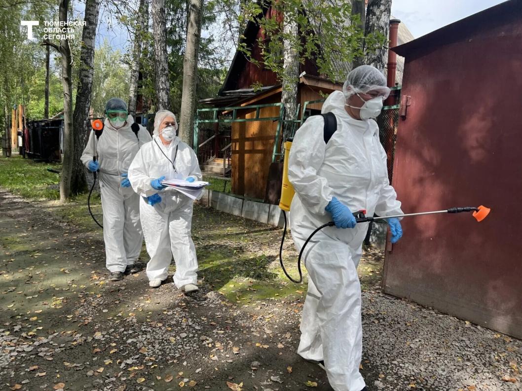 В тюменском СНТ «Дубрава» началась дезинфекция