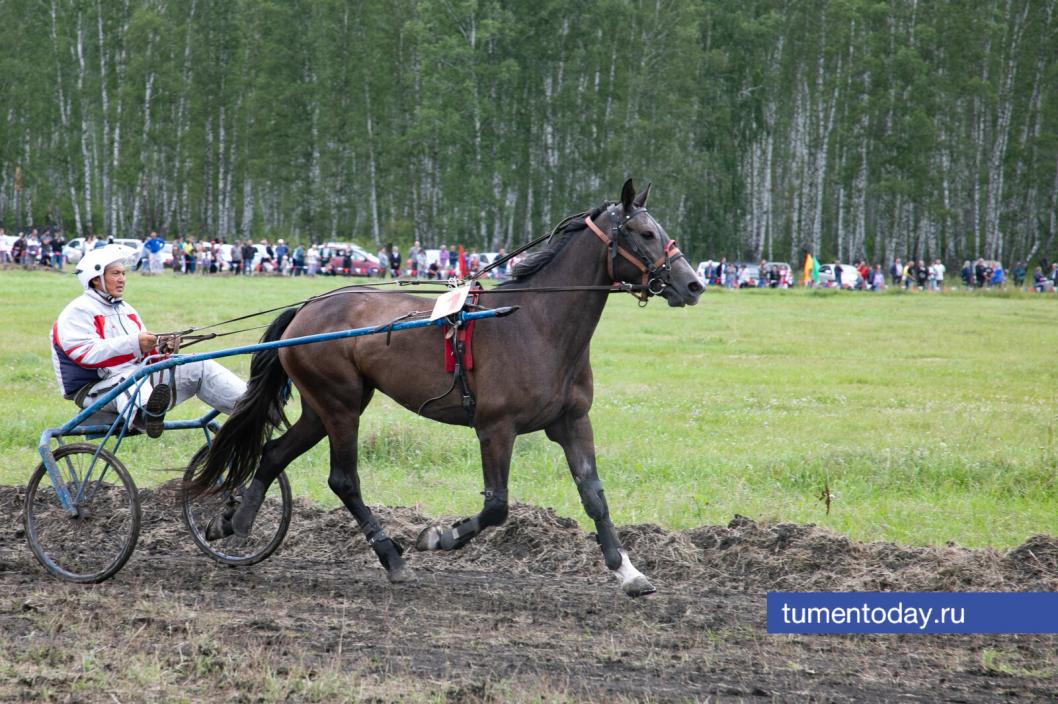 Фото Сергея Куликова