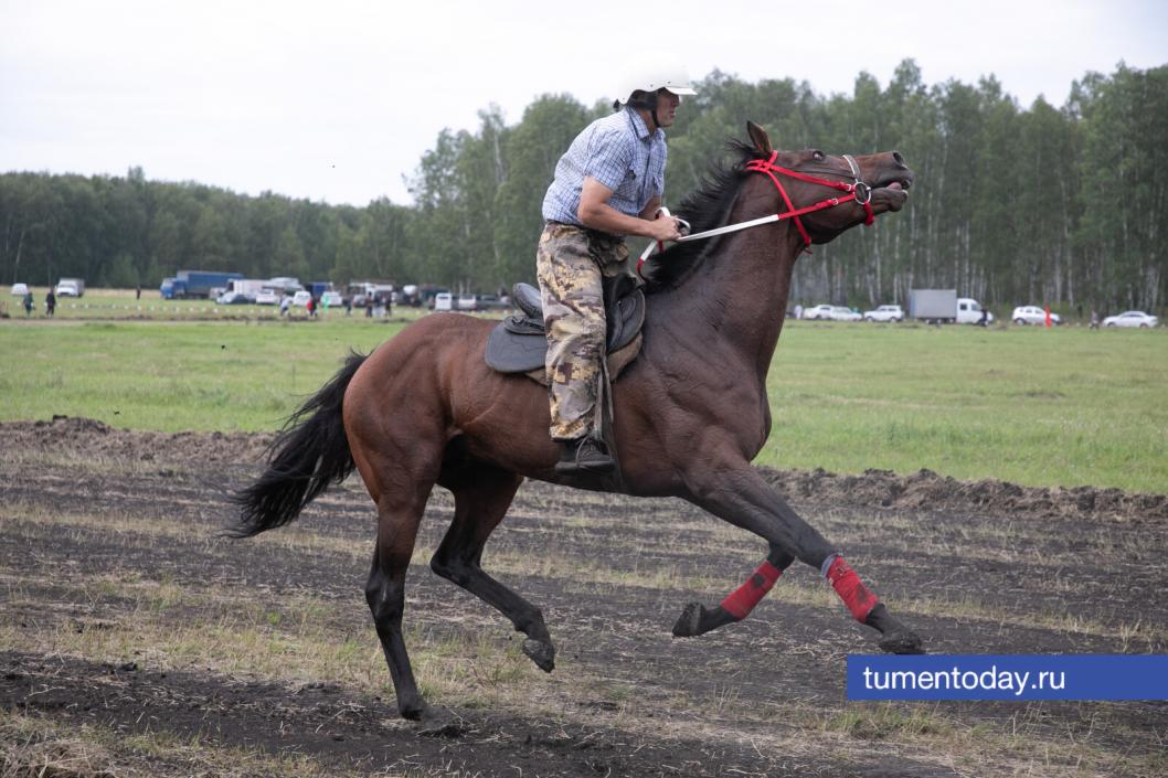 Фото Сергея Куликова