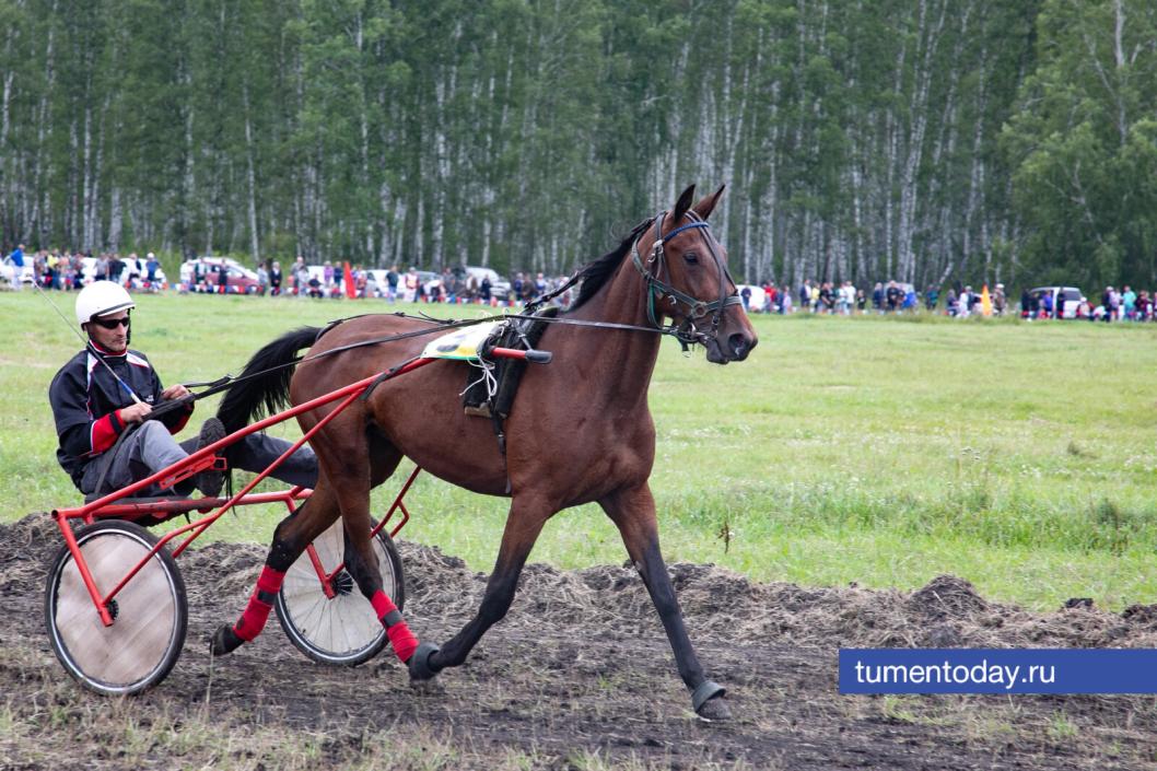 Фото Сергея Куликова