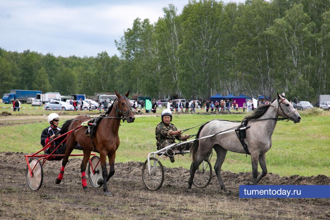 Фото Сергея Куликова