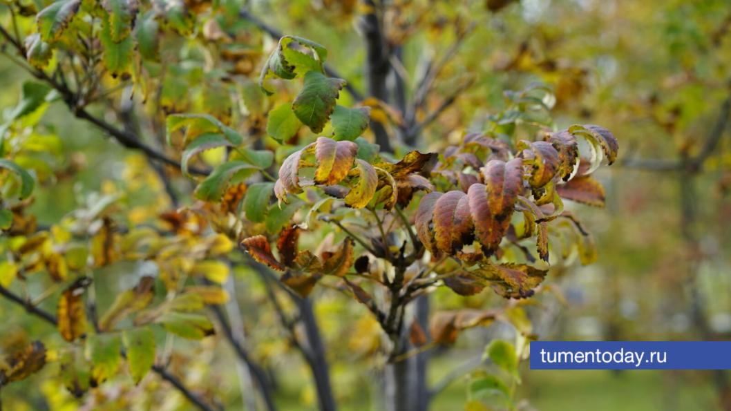 Фото Сергея Кузнецова