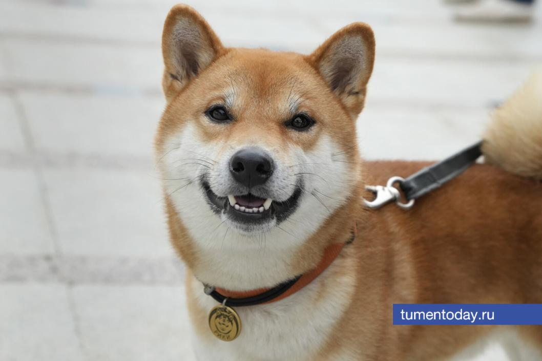 Фото Екатерины Христозовой