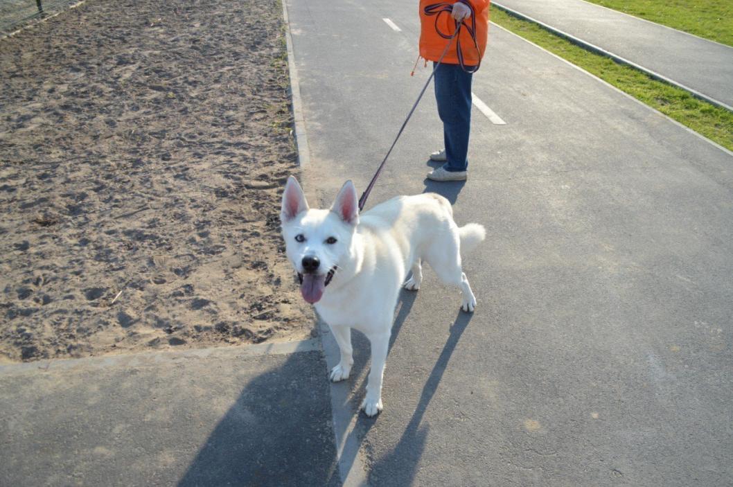 Фото администрации города Тюмени