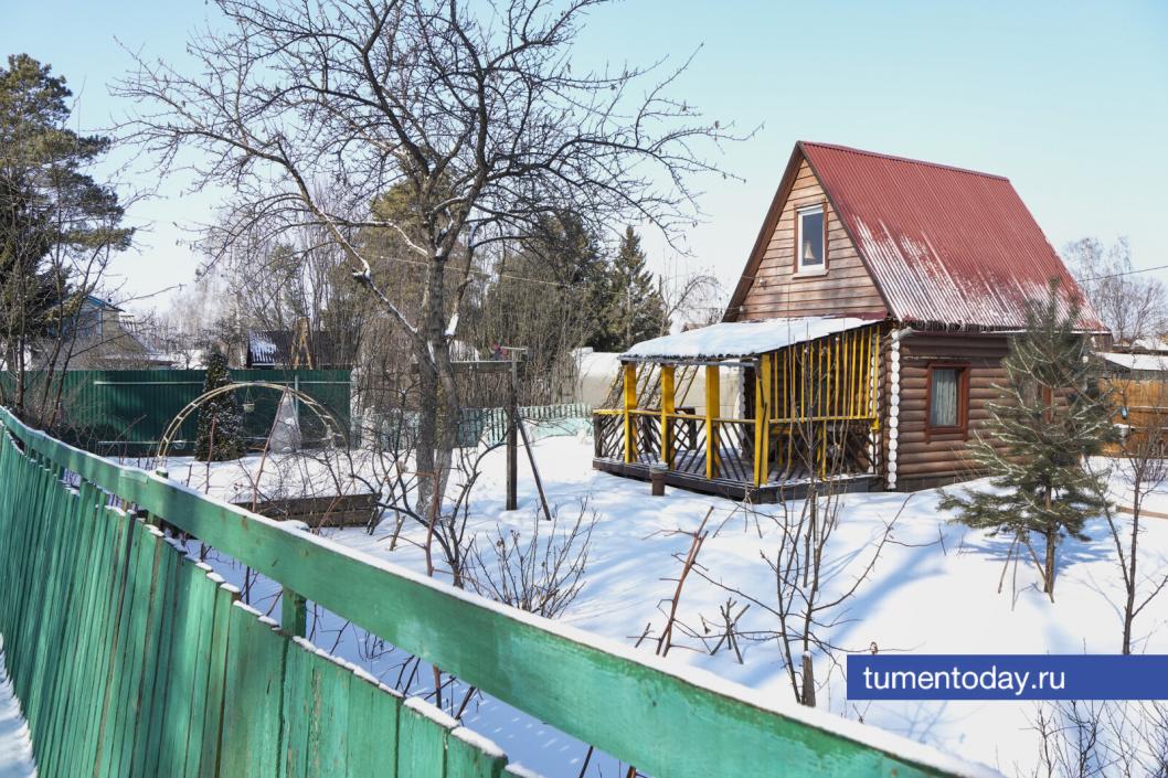 Кибермошенники атакуют тюменских дачников