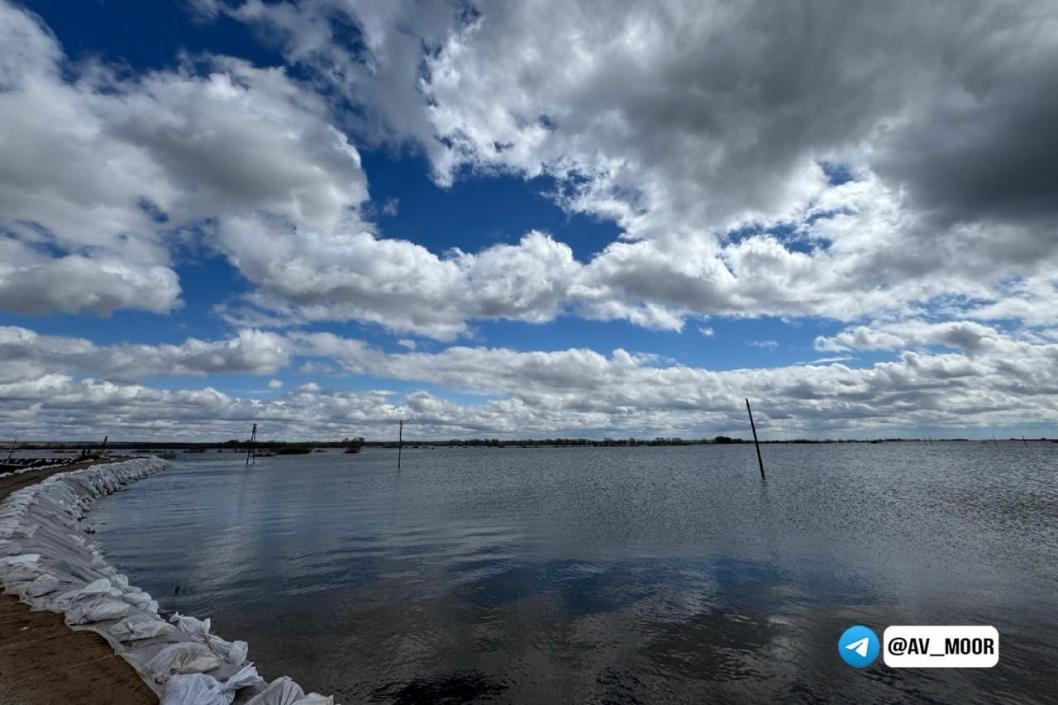 Фото из телеграм-канала Александра Моора