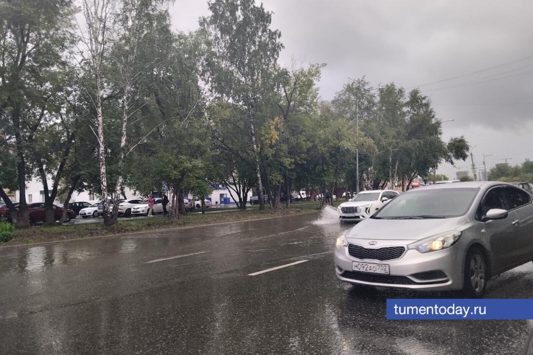 Фото Евгении Ноговициной