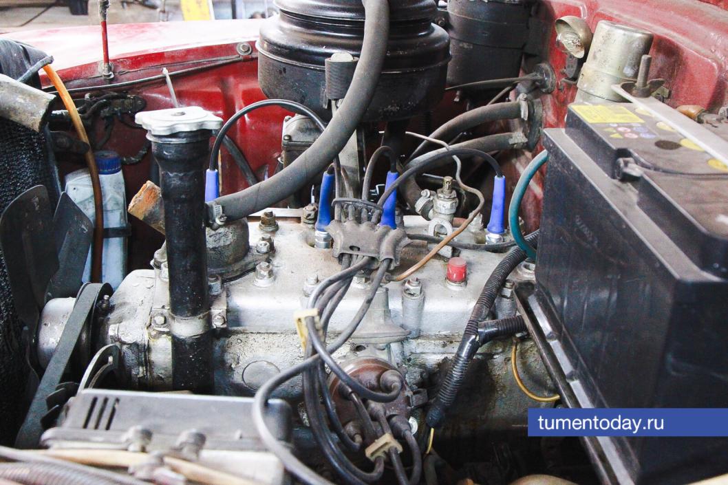 Фото Дениса Моргунова