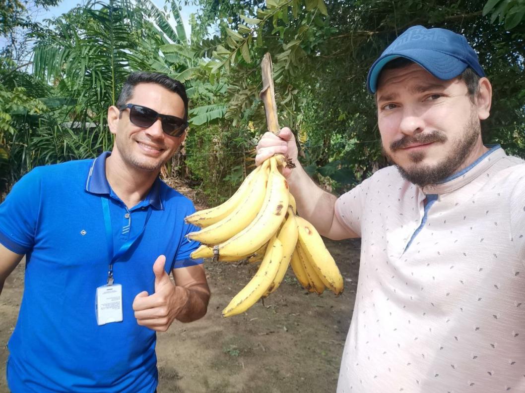Нападали совы, кругом страусы и капибары: тюменец рассказал о командировке в Бразилию