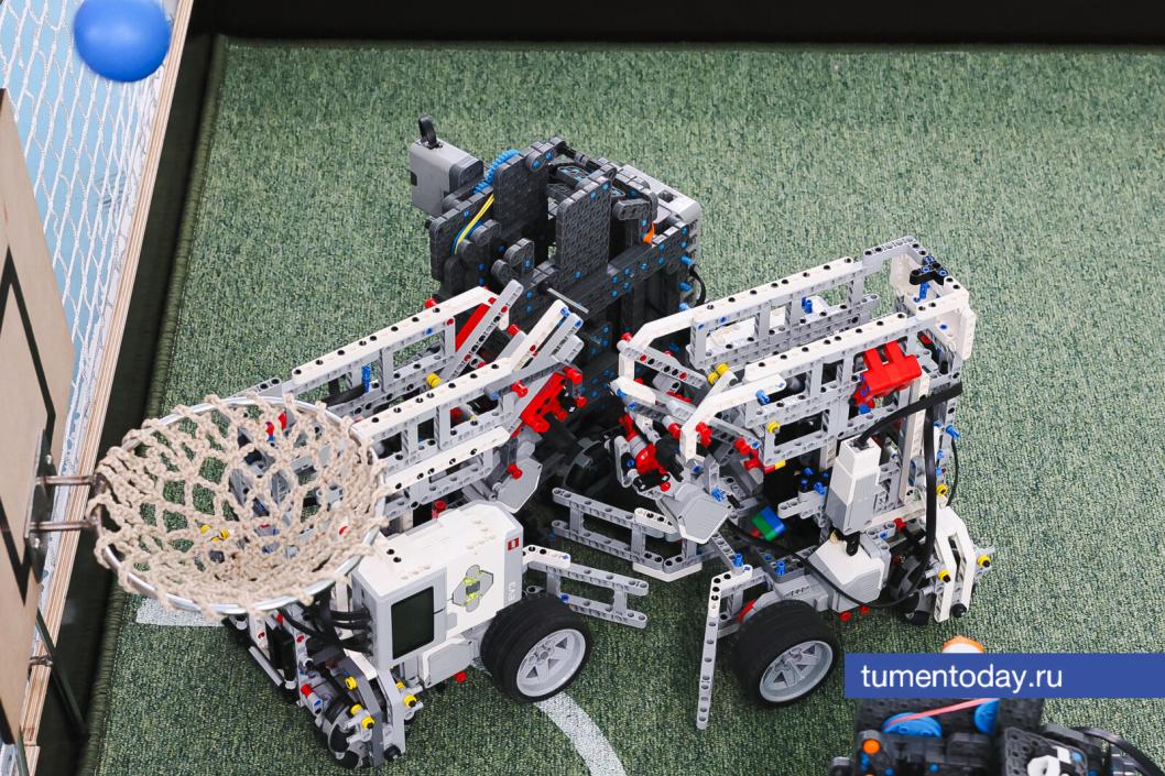 Фото Дениса Моргунова