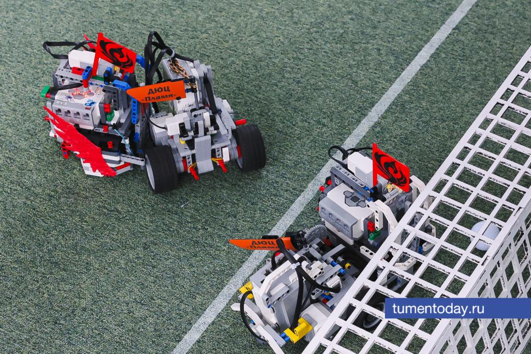 Фото Дениса Моргунова