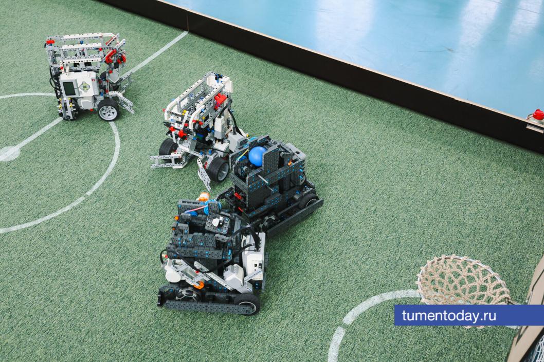 Фото Дениса Моргунова