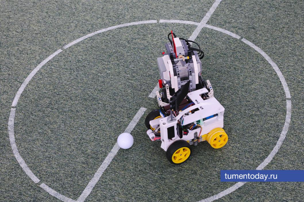 Фото Дениса Моргунова