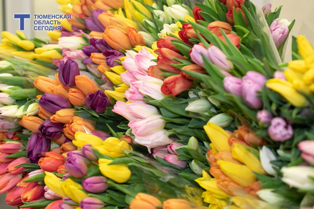 Родиться 8 марта: в тягость или в радость?