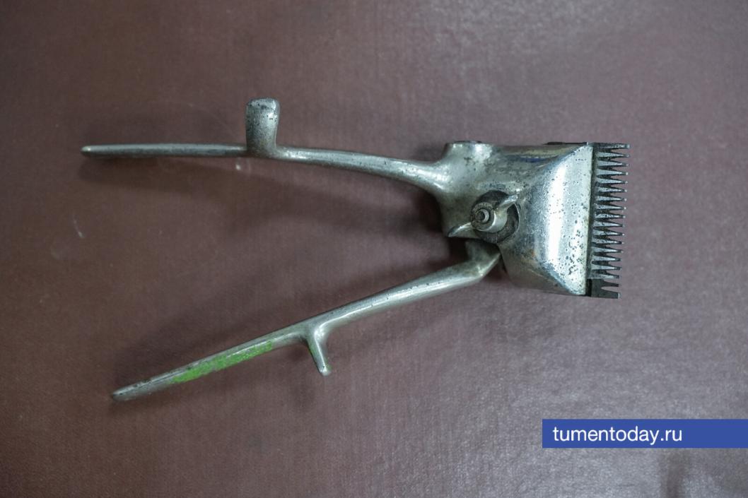 Фото Екатерины Христозовой