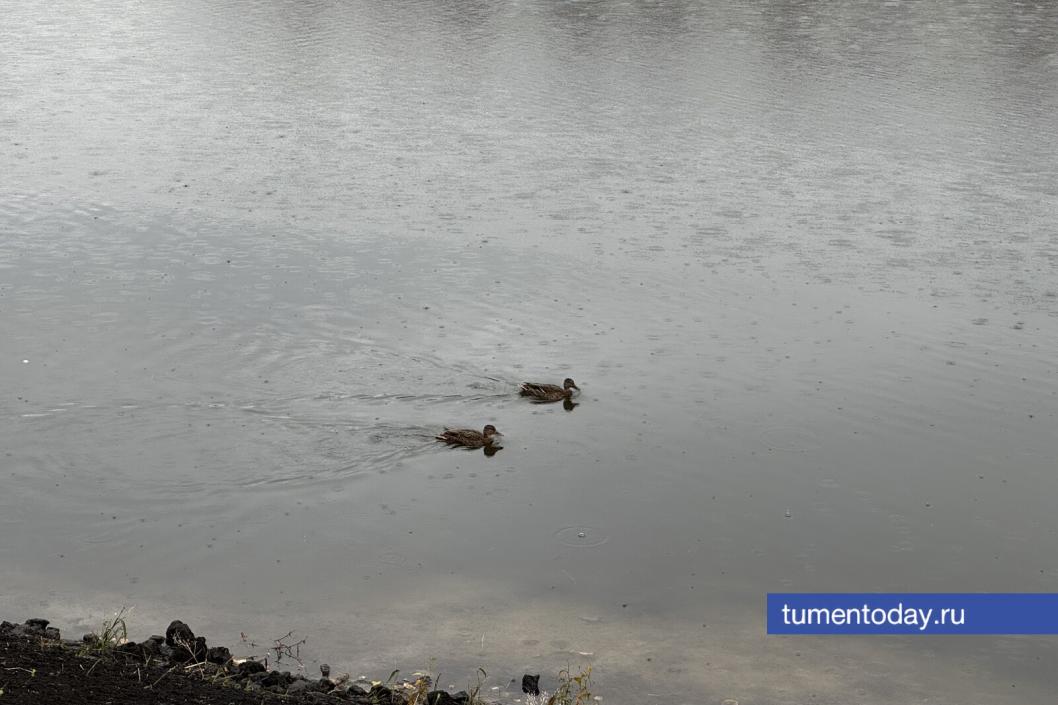 Фото Мадины Титовой