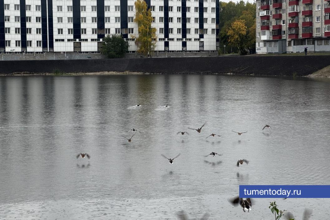 Фото Мадины Титовой