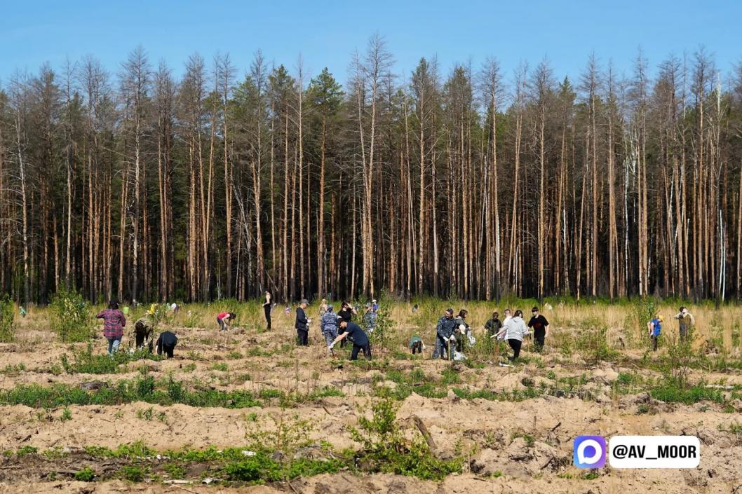 Фото из канала Александра Моора в МАКС, автор неизвестен