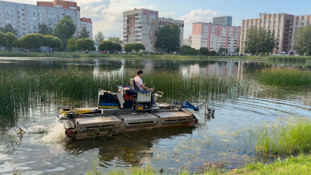Фото МКУ «ЛесПаркХоз»