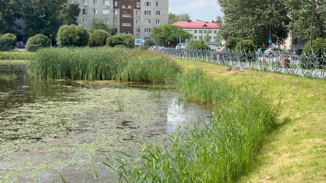 Фото МКУ «ЛесПаркХоз»