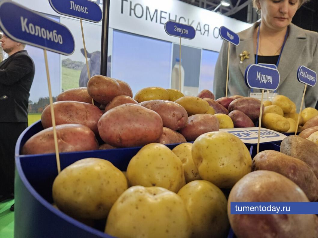 Фото Артемия Романова