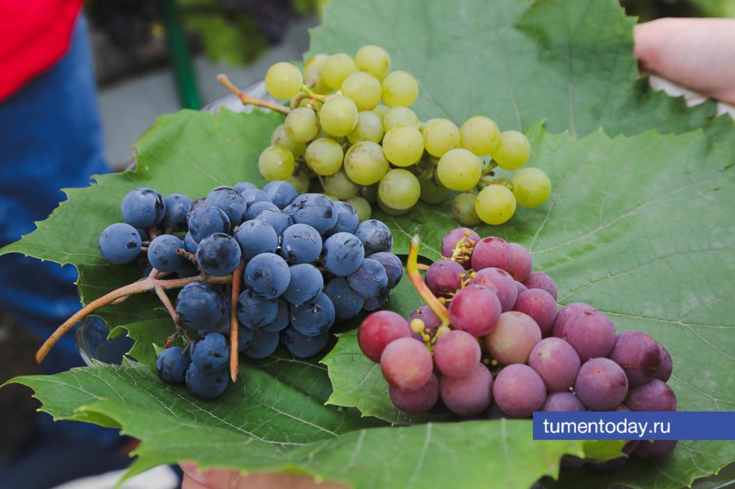 Фото Дениса Моргунова