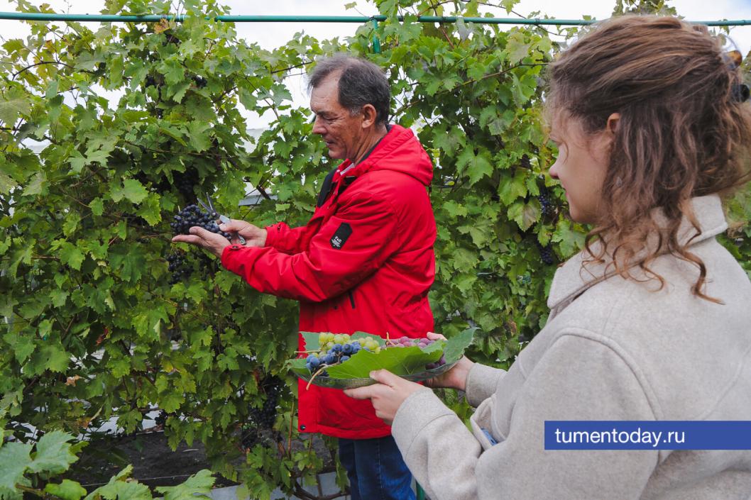 Фото Дениса Моргунова