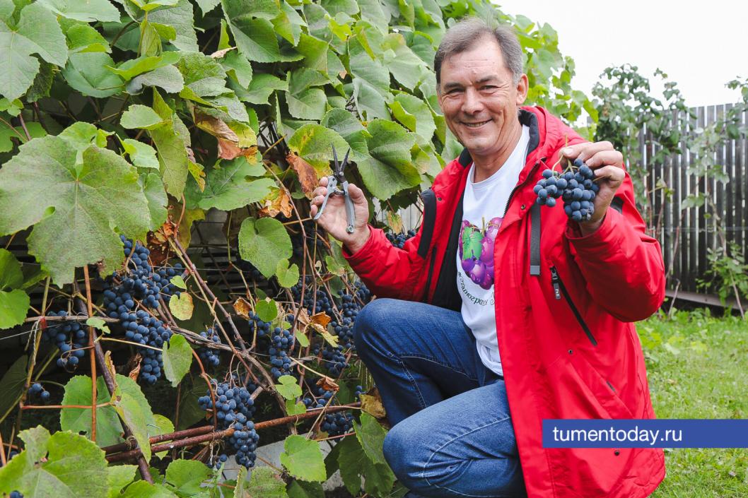 Фото Дениса Моргунова