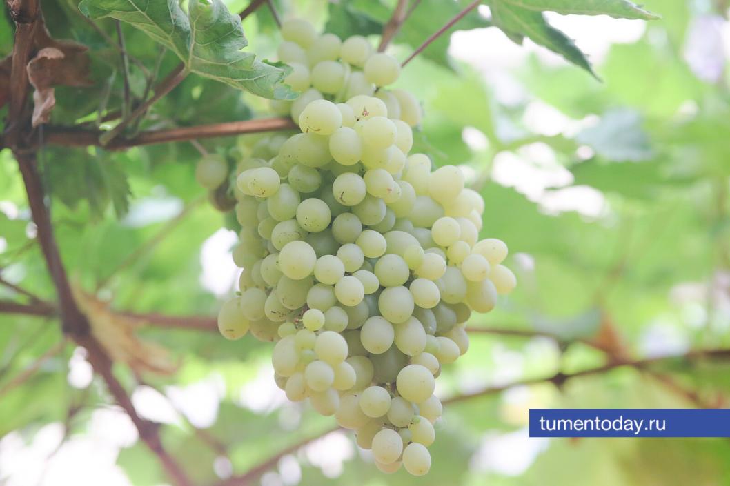 Фото Дениса Моргунова