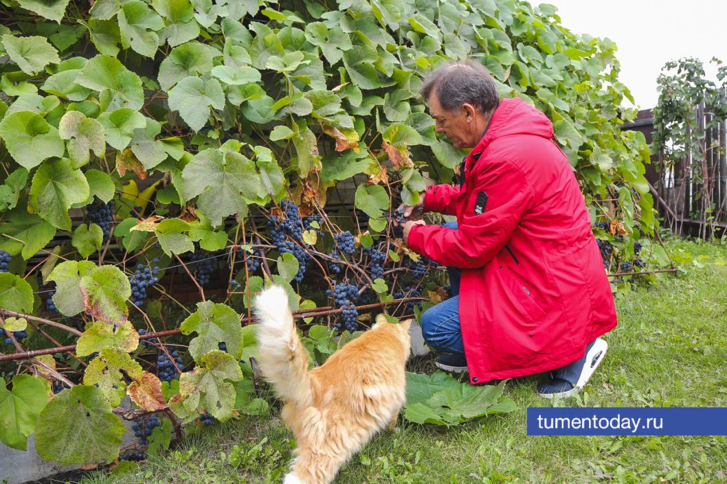 Фото Дениса Моргунова