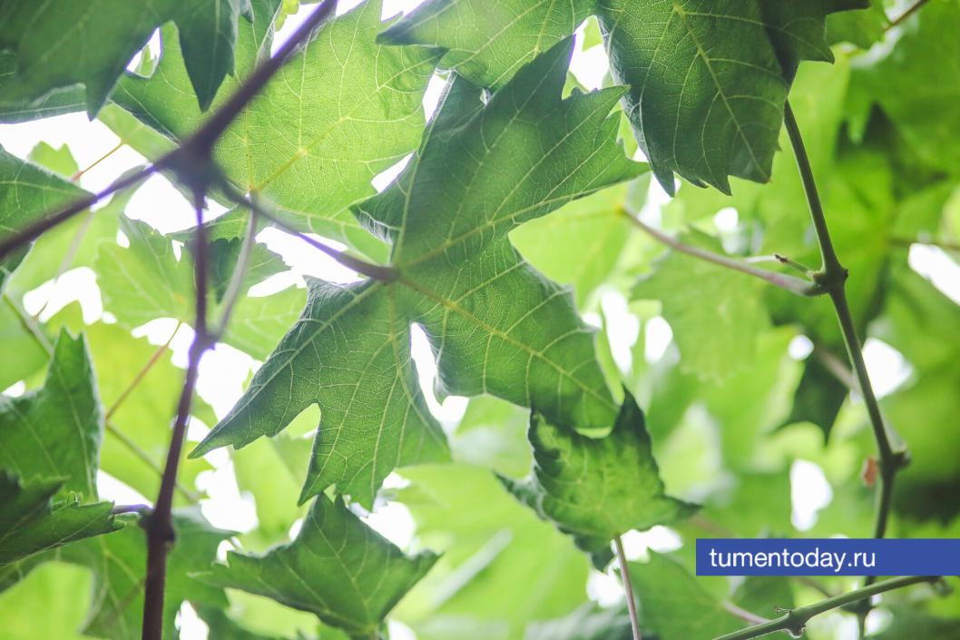 Фото Дениса Моргунова