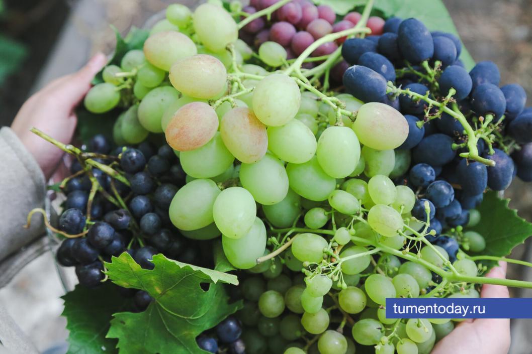 Фото Дениса Моргунова