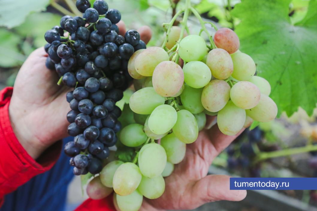 Фото Дениса Моргунова