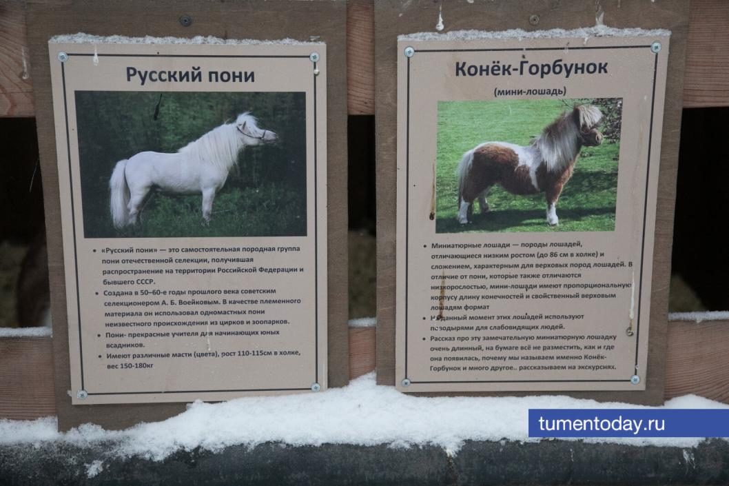 Фото Сергея Куликова