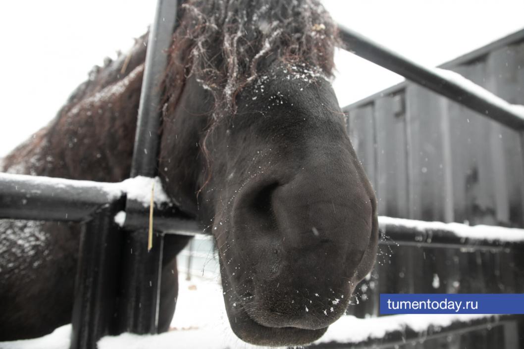 Фото Сергея Куликова