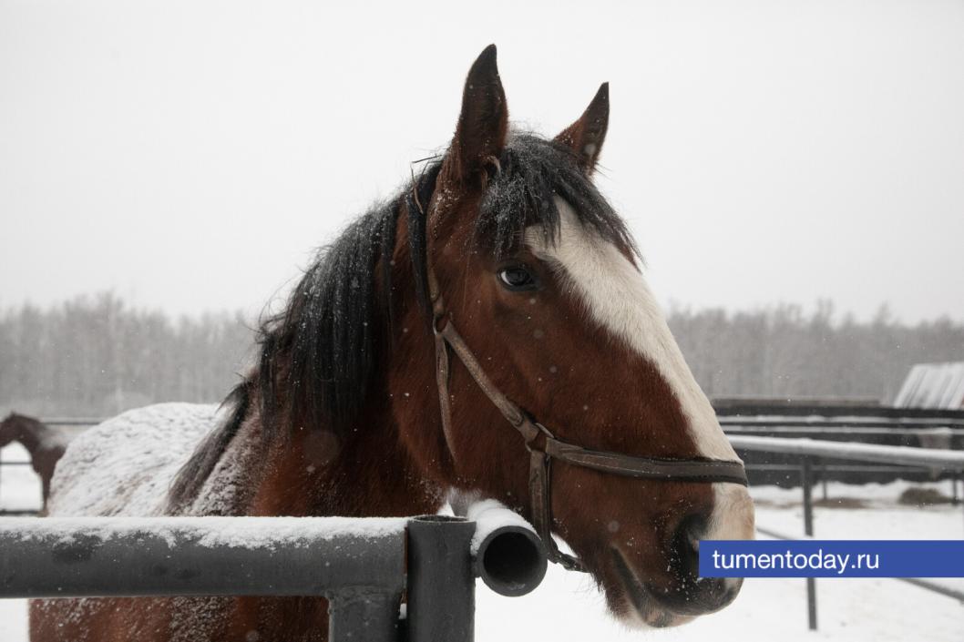 Фото Сергея Куликова