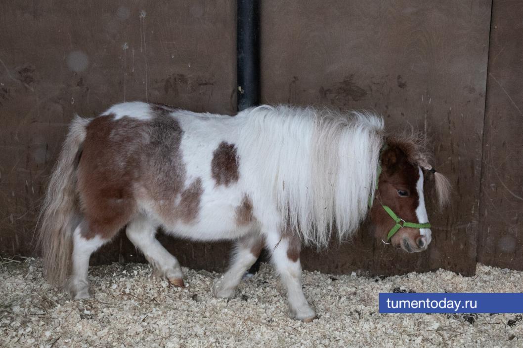 Фото Сергея Куликова