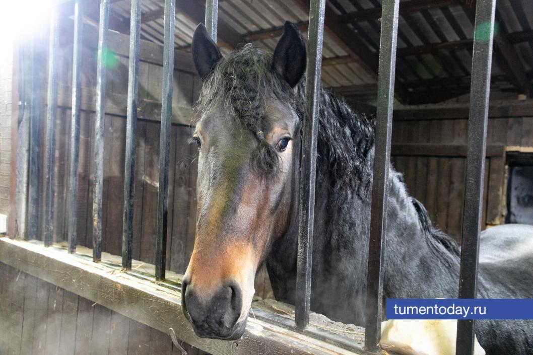 Фото Сергея Куликова