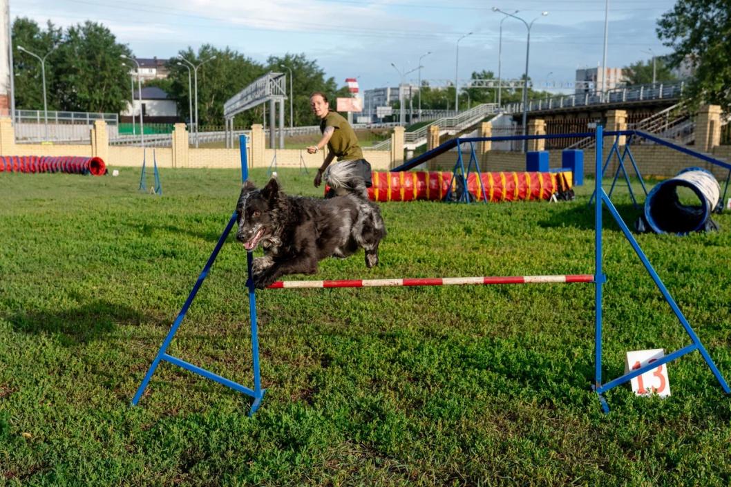 Фото Сергея Мжельского