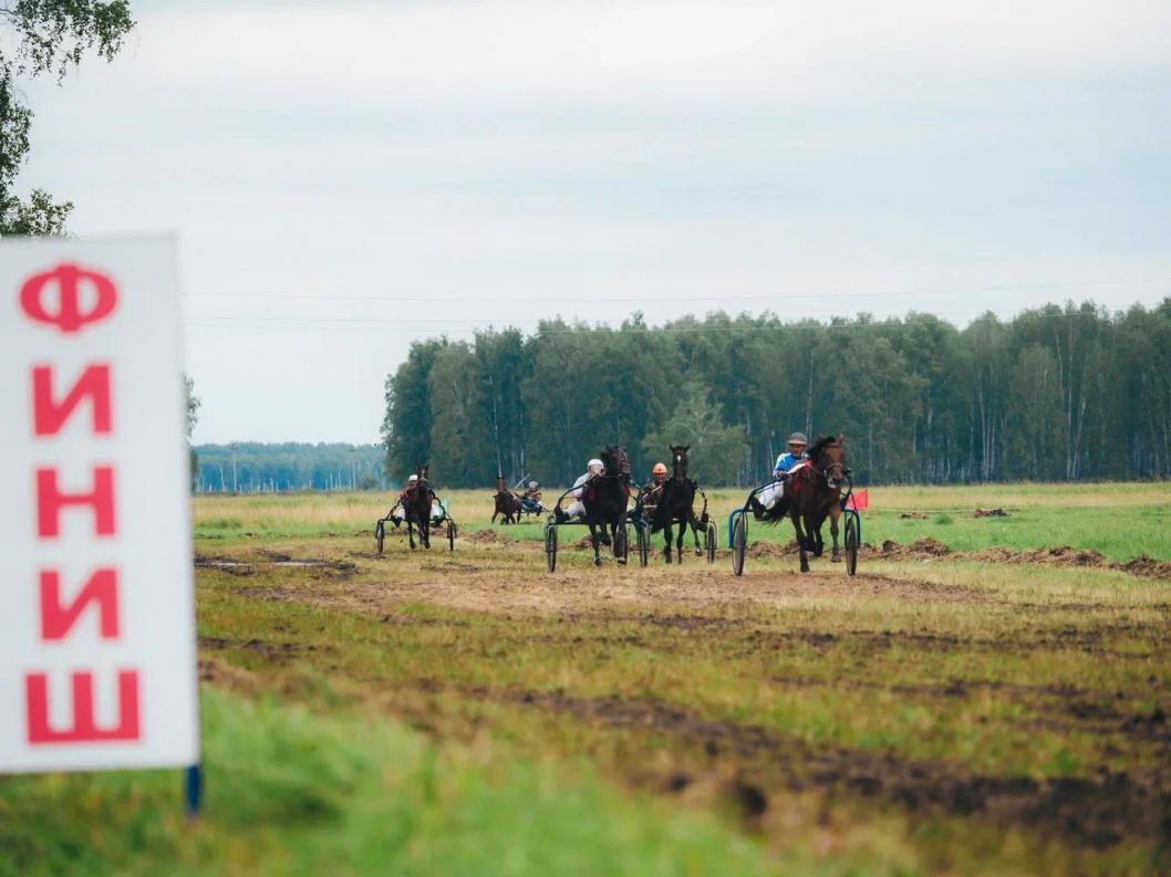 Фото: Национально-культурная автономия казахов Тюменской области