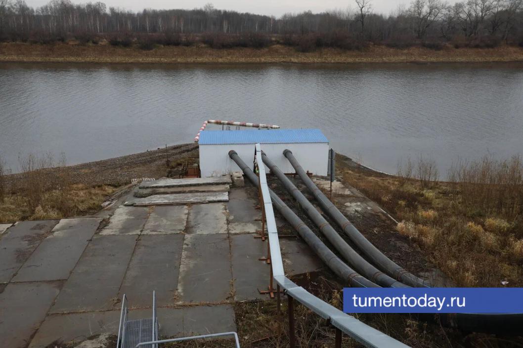 Фото Сергея Куликова