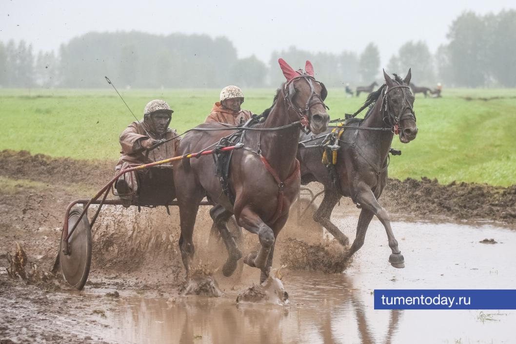 Фото Михаила Калянова