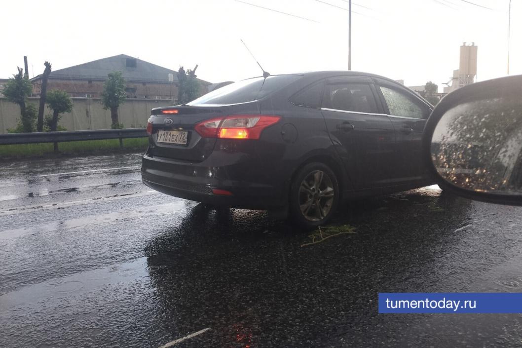 Фото: «Тюменская область сегодня»