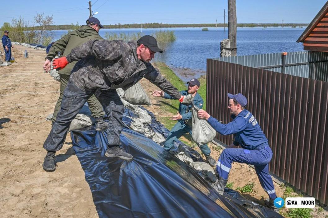 Фото телеграм-канала Александра Моора