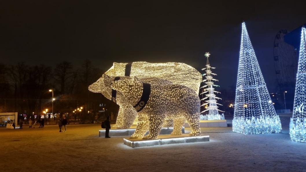 Фото Елены Волковой