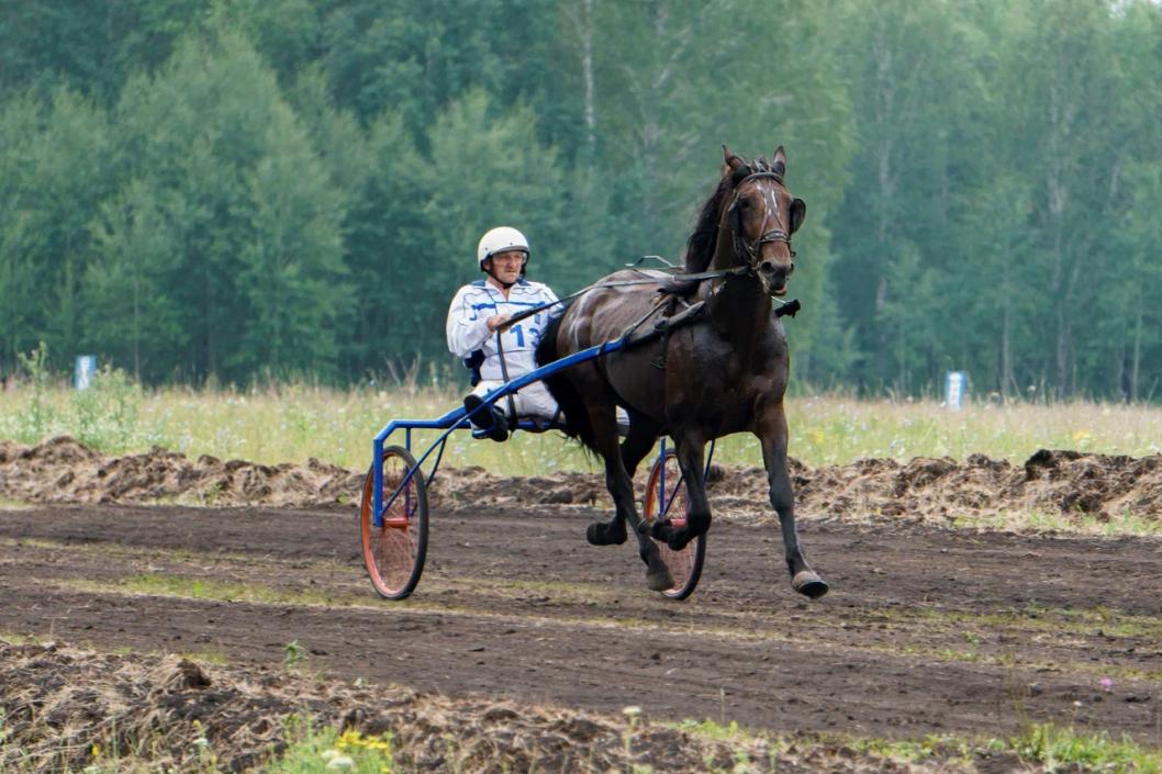 Фото Сергея Мжельского