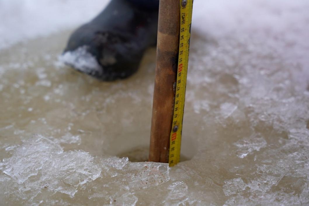 Фото Вячеслава Елизарова