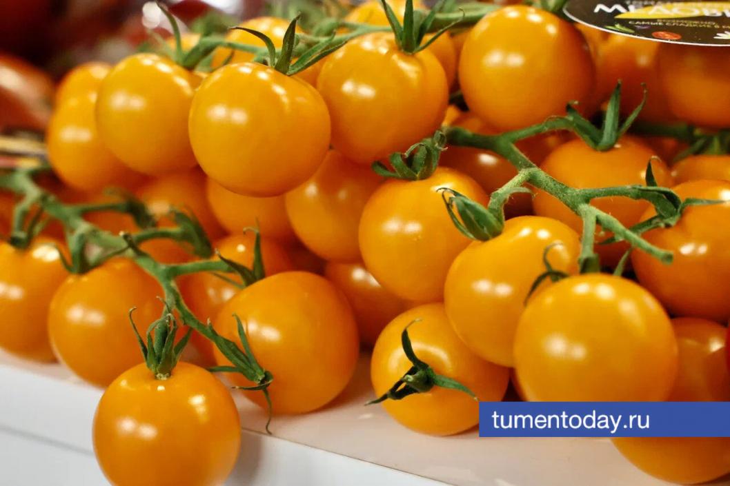 Фото Дениса Моргунова