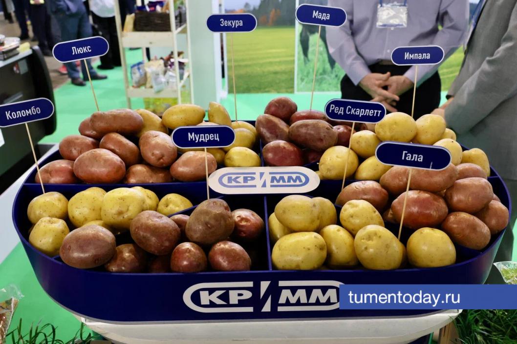 Фото Дениса Моргунова