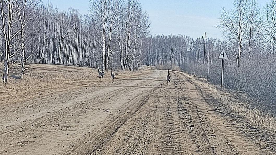 Фото https://t.me/tyumen1/22182